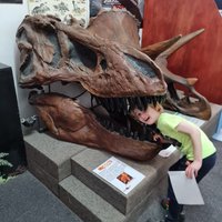 DINOSTAR - HULL'S DINOSAUR EXPERIENCE (Kingston-upon-Hull) - All You ...