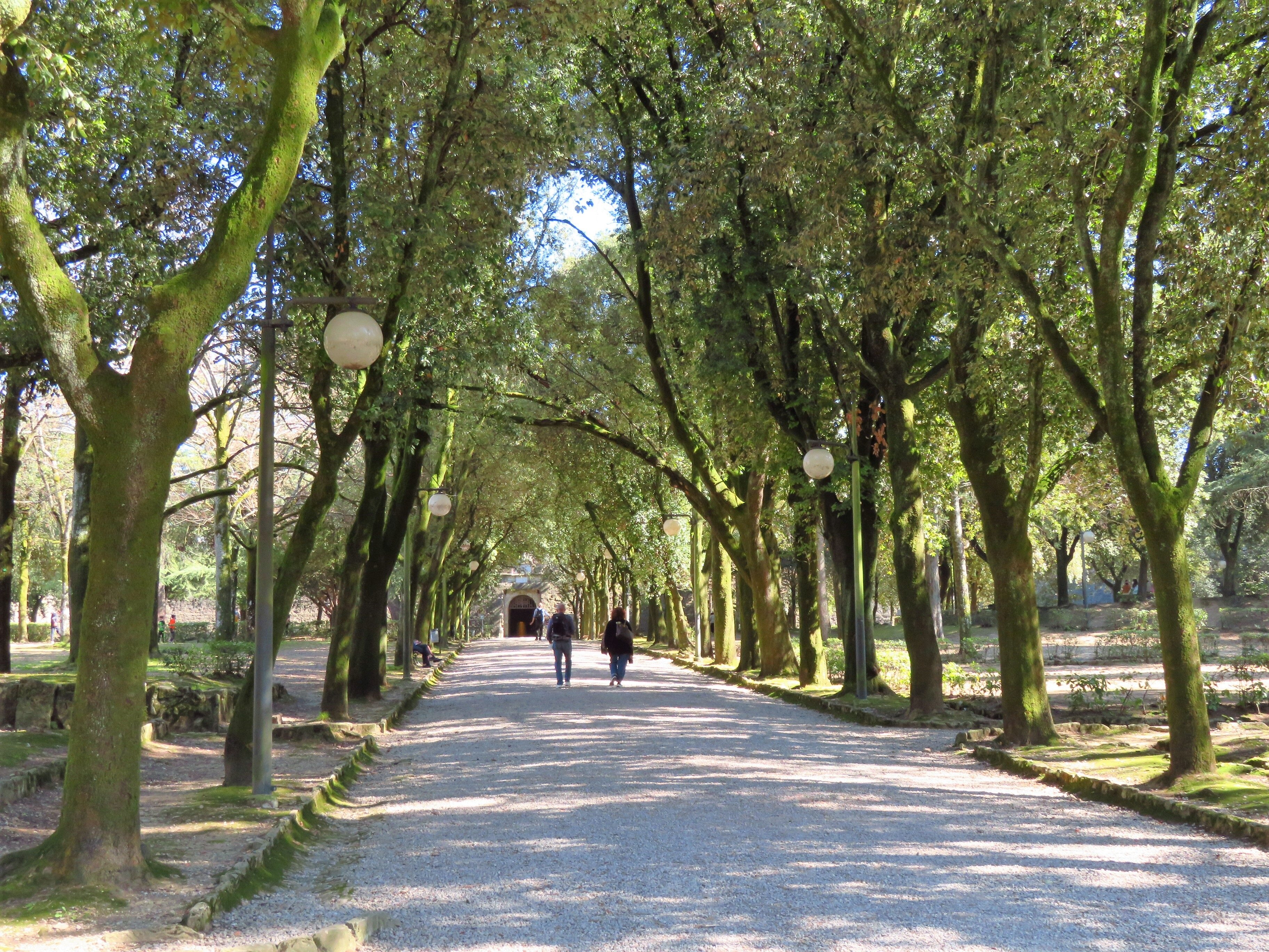 PASSEGGIO DEL PRATO Tutto quello che c da sapere AGGIORNATO