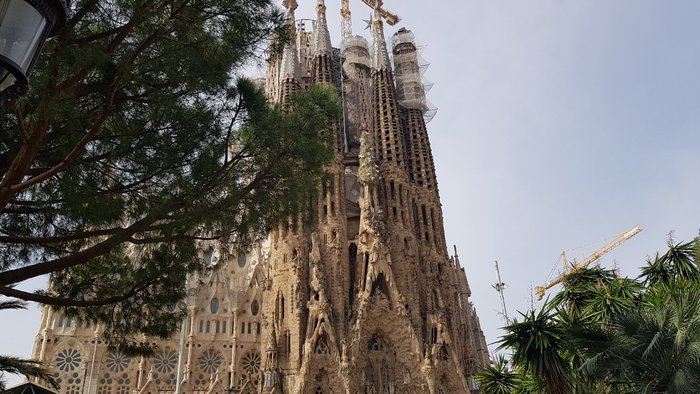 Imagen 8 de Plaza de Gaudí