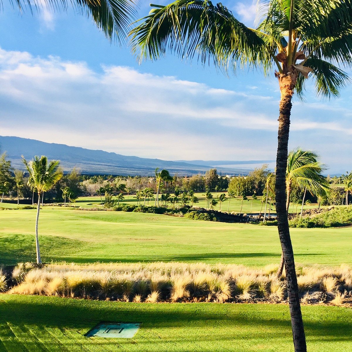 WAIKOLOA KINGS' COURSE (2025) All You Should Know BEFORE You Go (with WAIKOLOA KINGS' COURSE (2025) All You Should Know BEFORE You Go (with