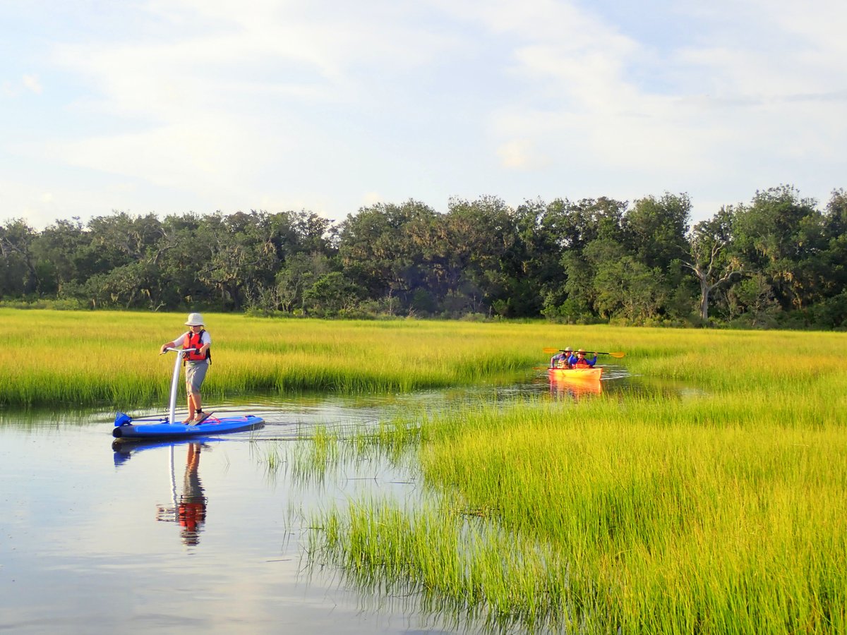 Amelia Island Kayak Excursions - All You Need to Know BEFORE You Go (2024)