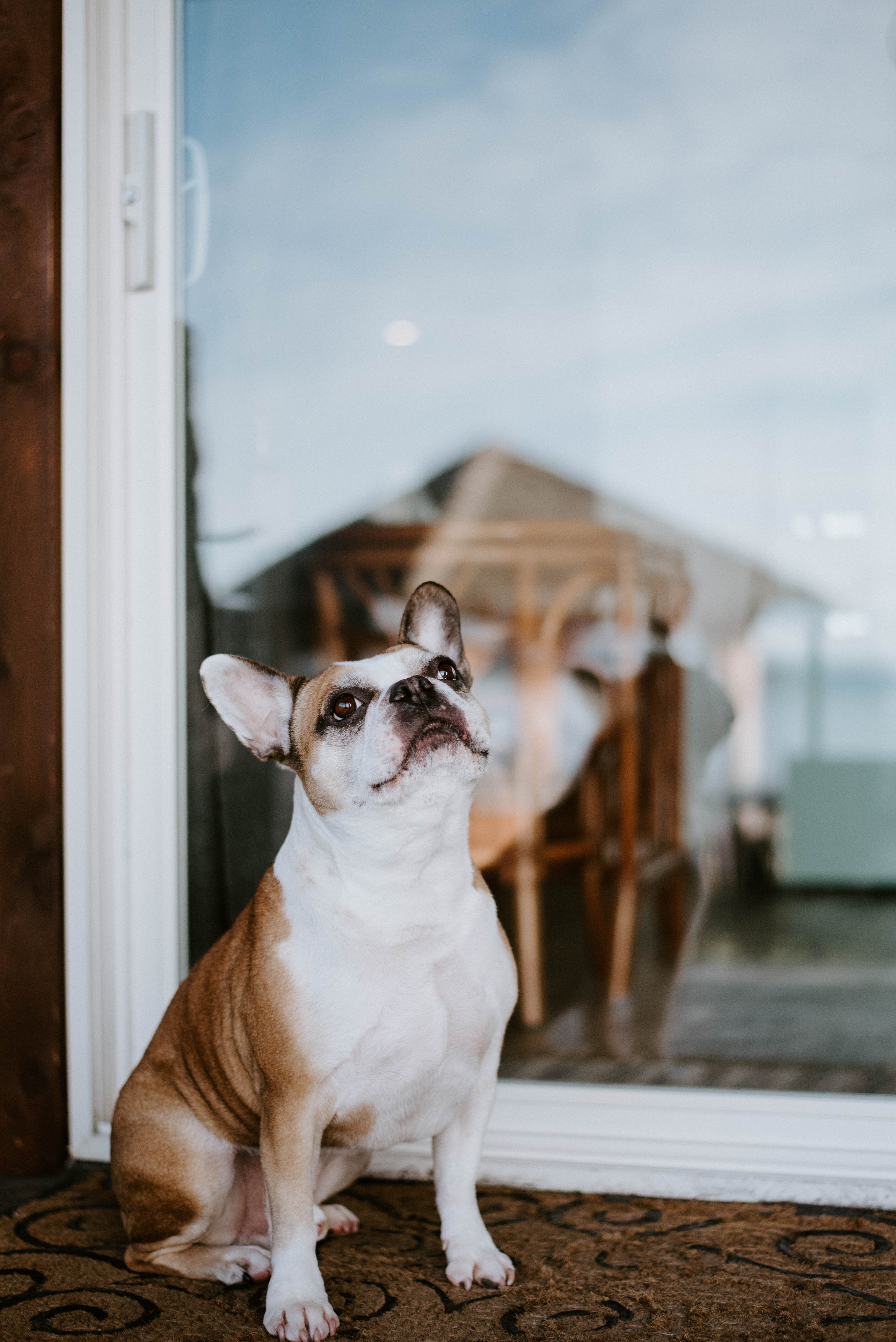 Coastal hideaway outlet collar