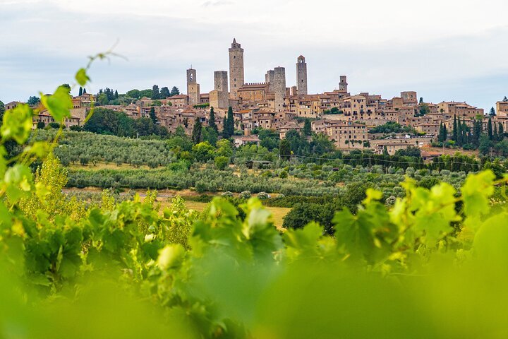 CASTELLO DI VERRAZZANO (Greve In Chianti) - 2022 What To Know BEFORE You Go