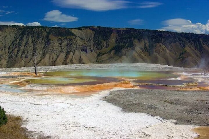 Tripadvisor | Private Yellowstone Upper Loop Tour Aangeboden Door ...