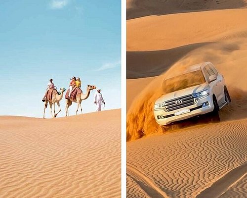 about desert safari qatar