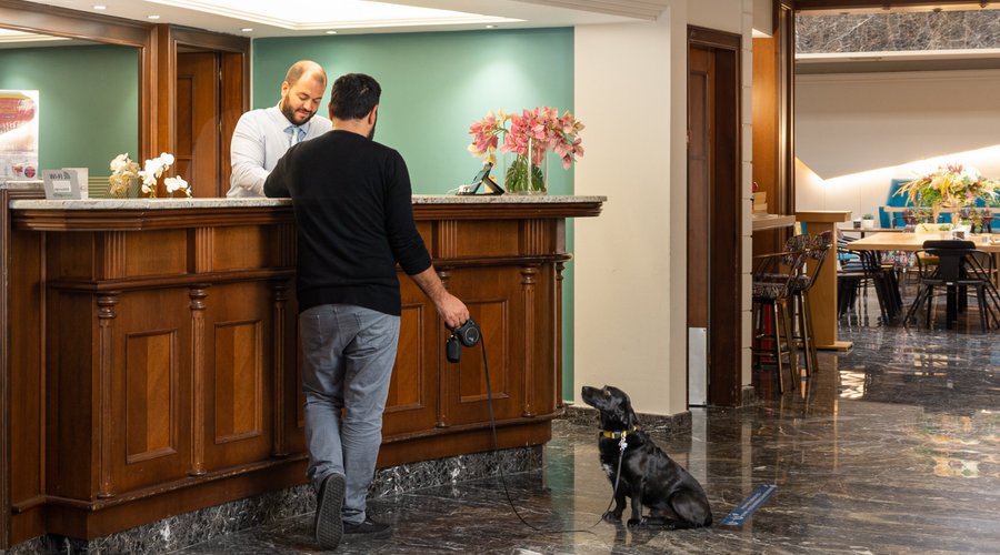 Hotel El Greco Reception Pet Friendly