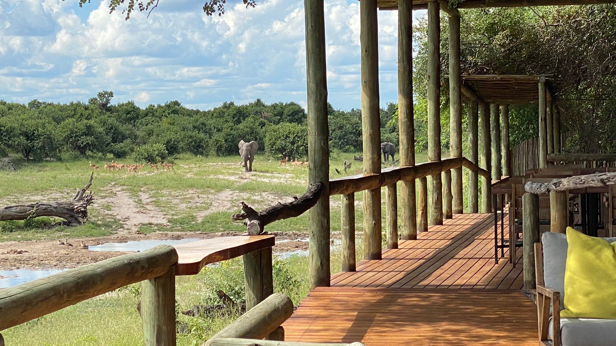 CAMP SAVUTI - Updated 2022 (Chobe National Park, Botswana)