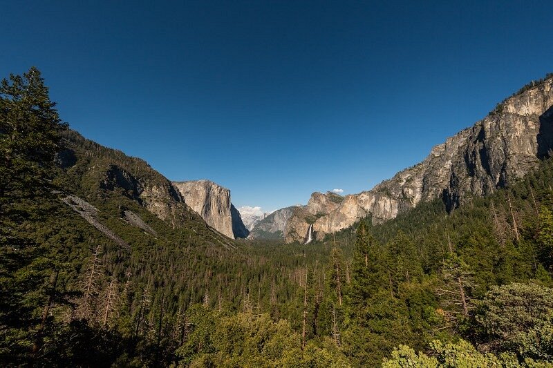 Yosemite 360 Tours image