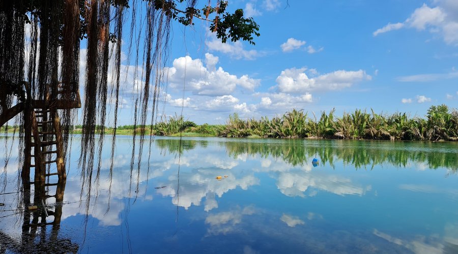 Khu Du Lịch Sinh Thái Bọ Cạp Vàng - Trải Nghiệm Thiên Nhiên Tuyệt Vời Và Thư Giãn Tuyệt Đối