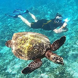 2024 Tour di snorkeling di mezza giornata da Papeete