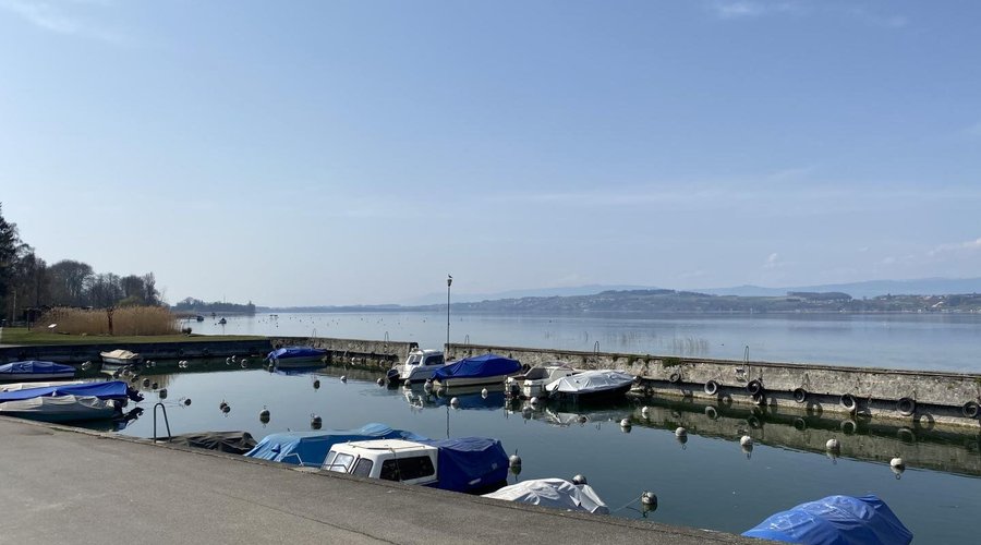 Promenade au bord du lac de Morat avec son port de plaisance