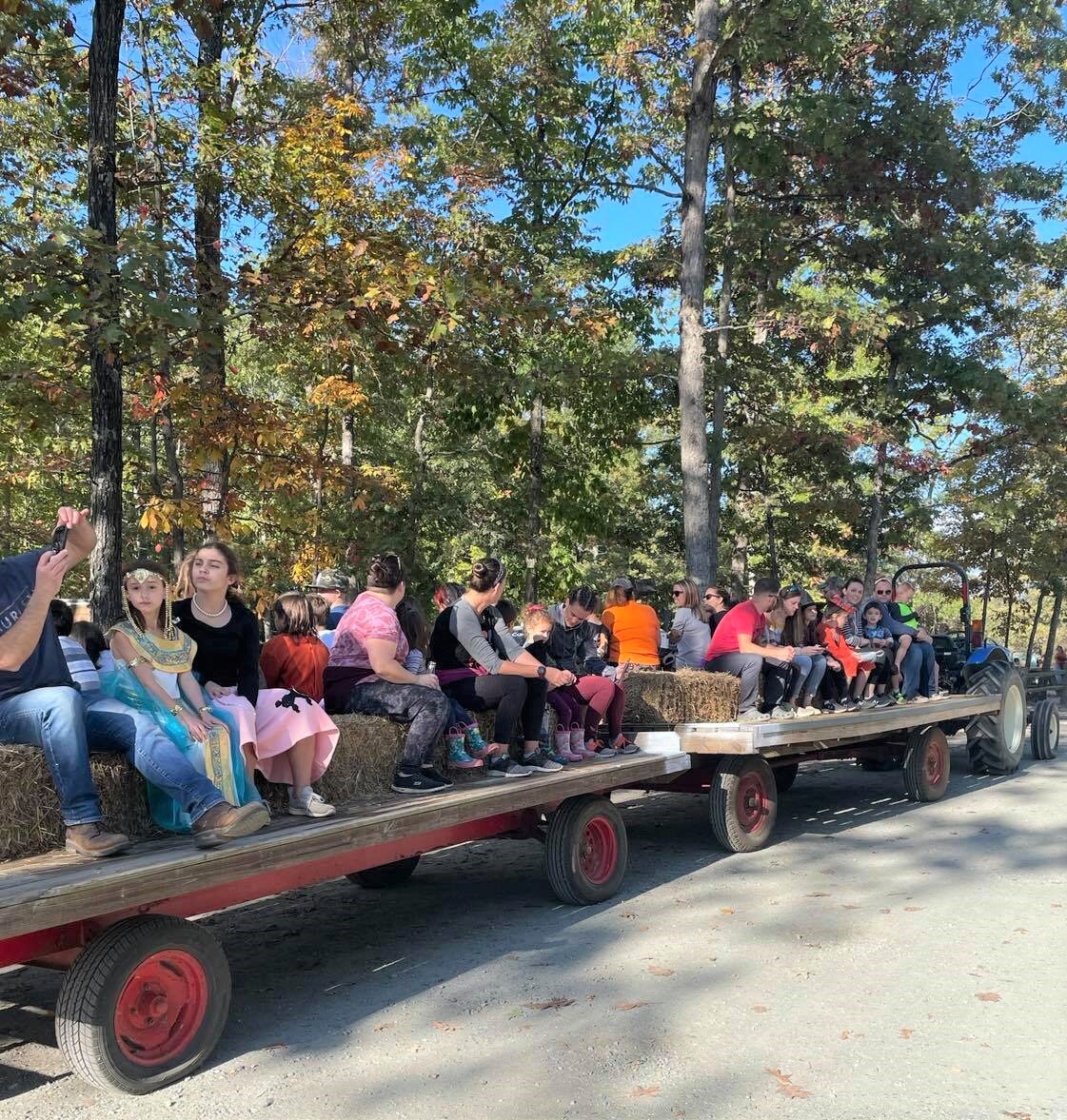 SMALL COUNTRY CAMPGROUND Louisa VA Kamp Alan Yorumlar Tripadvisor   Catch The Hayride 