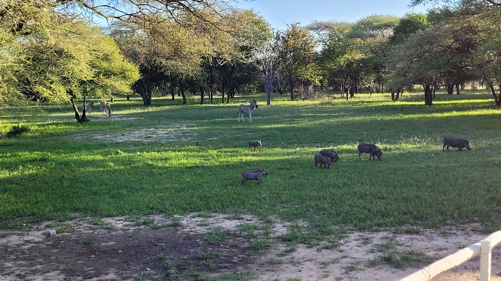 EMANYA@ETOSHA (AU$227): 2022 Prices & Reviews (Etosha National Park ...