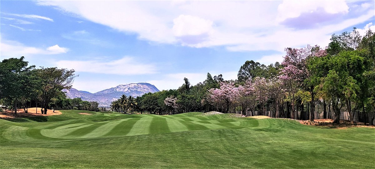 Prestige Golfshire Club - All You Need to Know BEFORE You Go (2024) - Tripadvisor