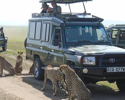 natural world tours and safaris