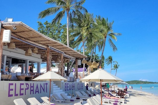 Hotels Near Elephant Beach Club In Koh Samui - 2023 Hotels