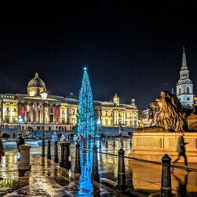 Christmas lights and tree at Trafalgar Square at night in London