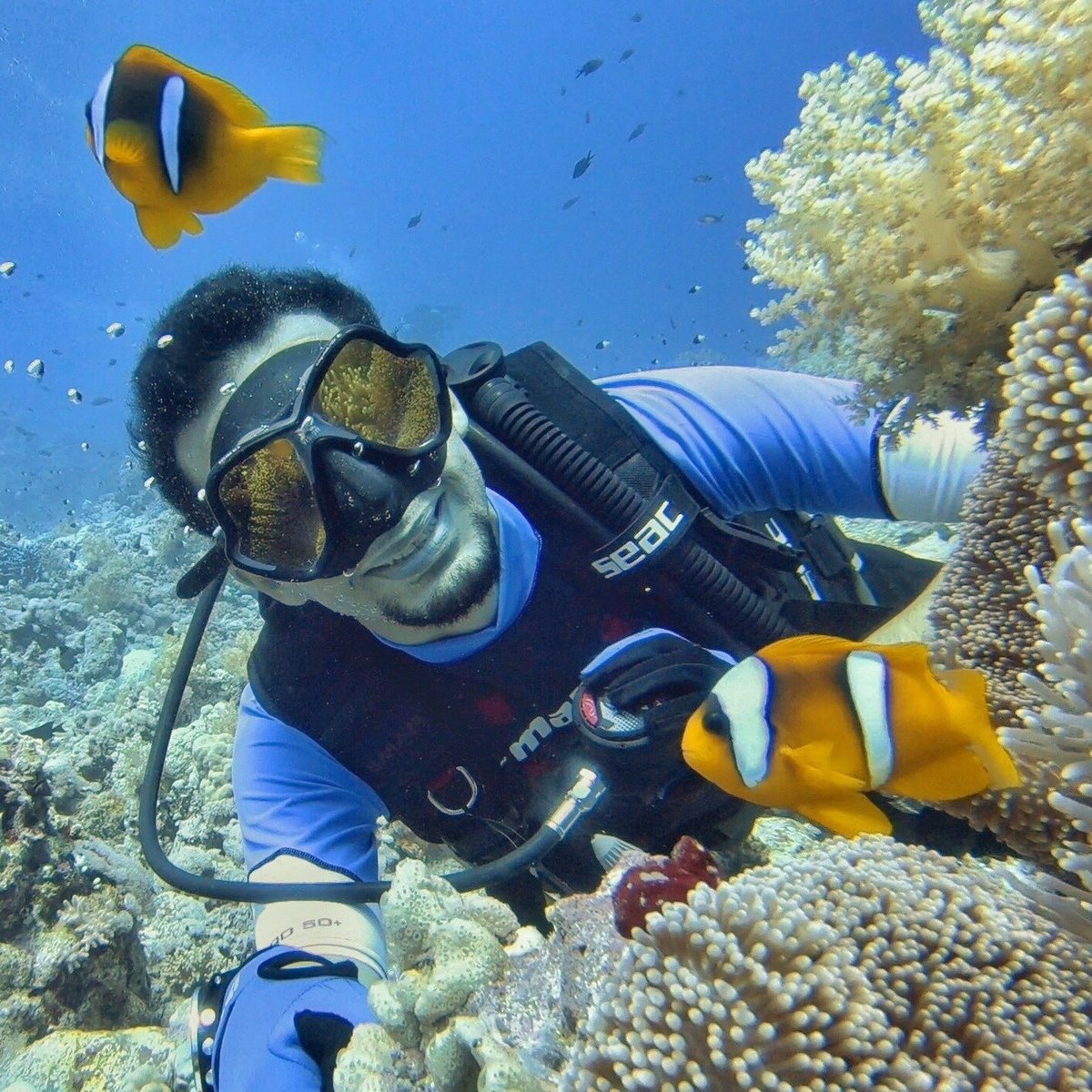 Descent DiveClub (Jeddah, Saudi Arabia): Address, Phone Number ...