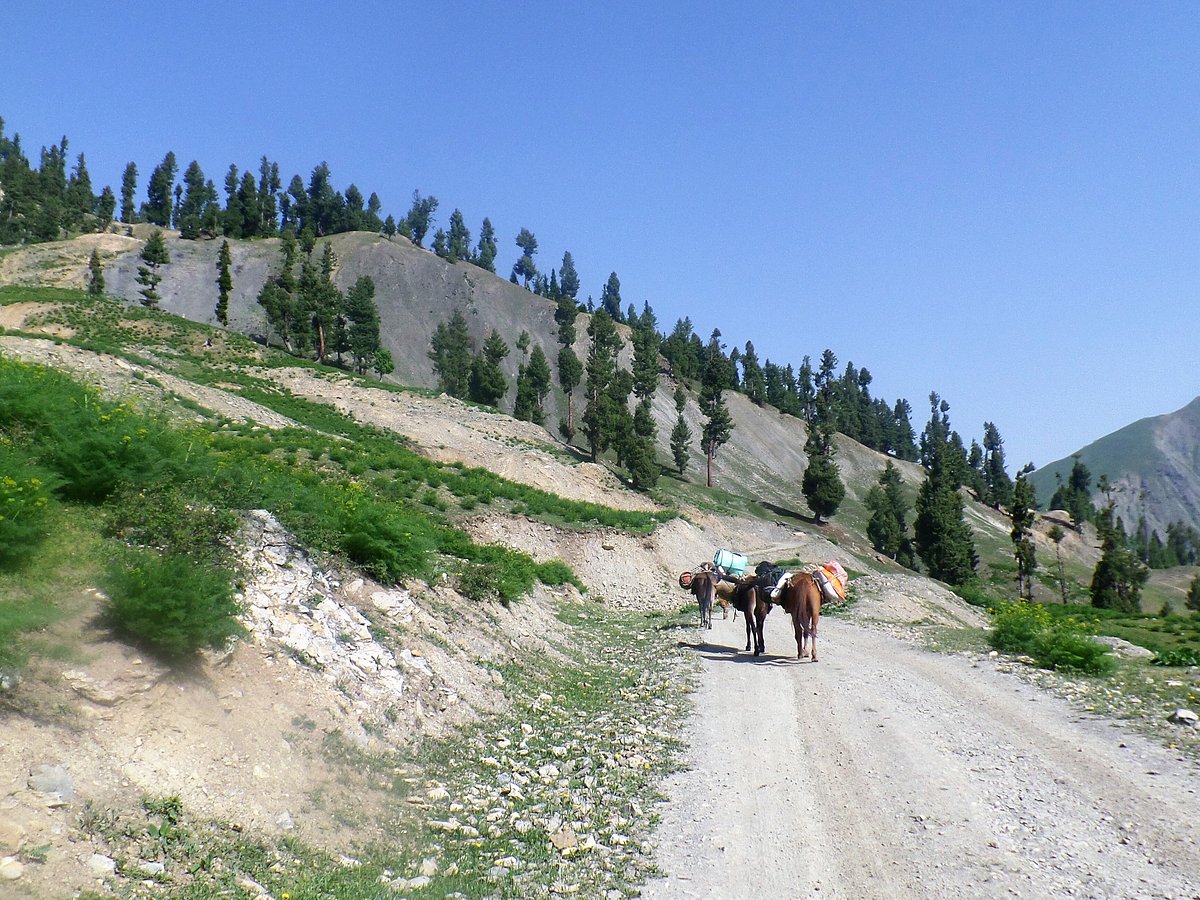 kashmir treks