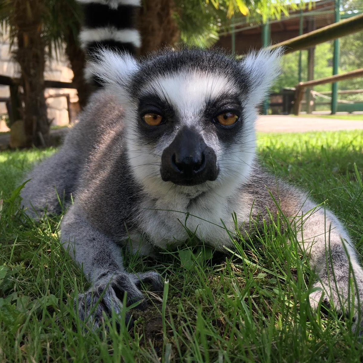 Safari Park, Помбия: лучшие советы перед посещением - Tripadvisor