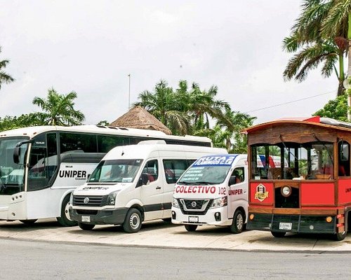 10 MEJORES transportes de Cozumel