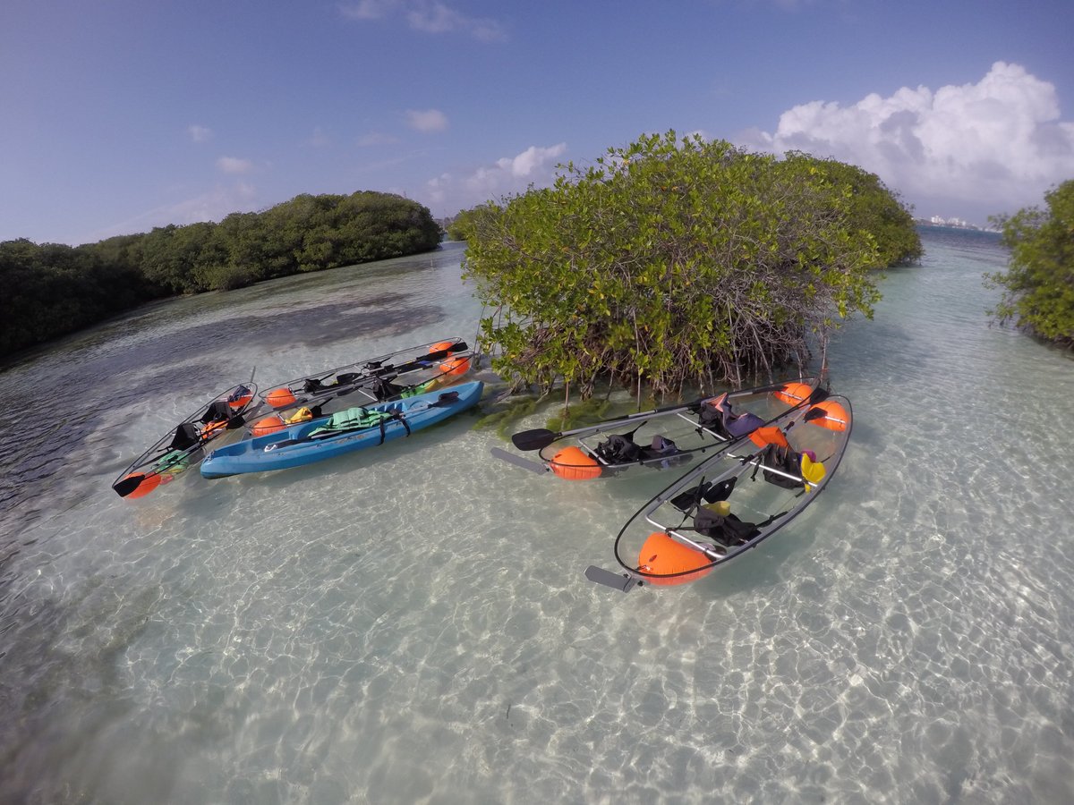 EcoFiwi Turismo Ecologico - O que saber antes de ir (ATUALIZADO Agosto 2024)