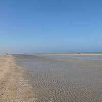 De Panne Beach - All You Need to Know BEFORE You Go