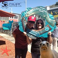 Pacific Marine Mammal Center (Laguna Beach) - All You Need to Know ...
