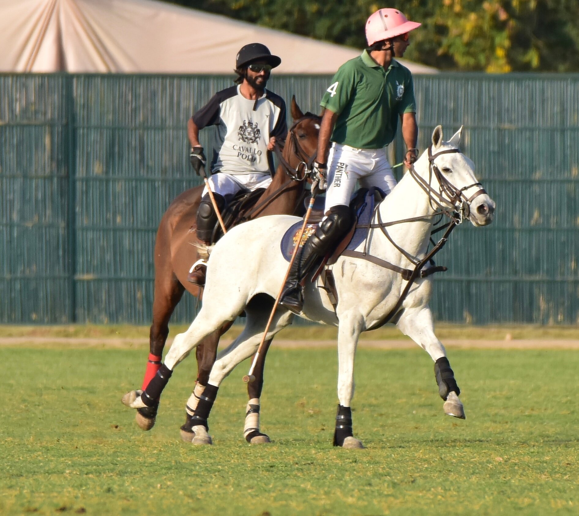 Polo a outlet cavallo