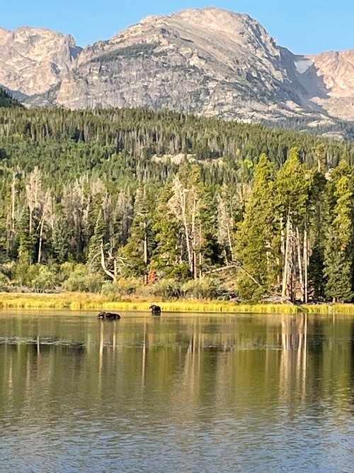 Rocky Mountain National Park Jennifer J review images