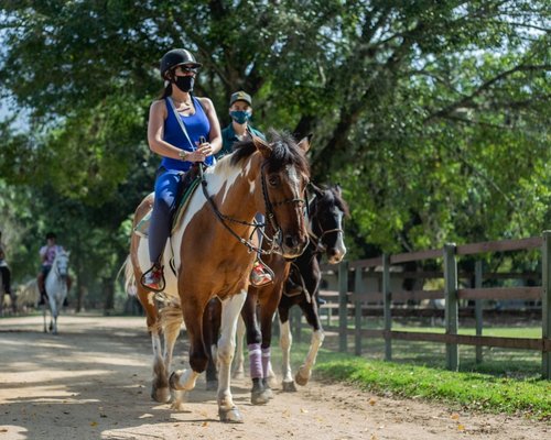 Mata Cavalo: 0 Reviews, Map - Rio de Janeiro, Brazil