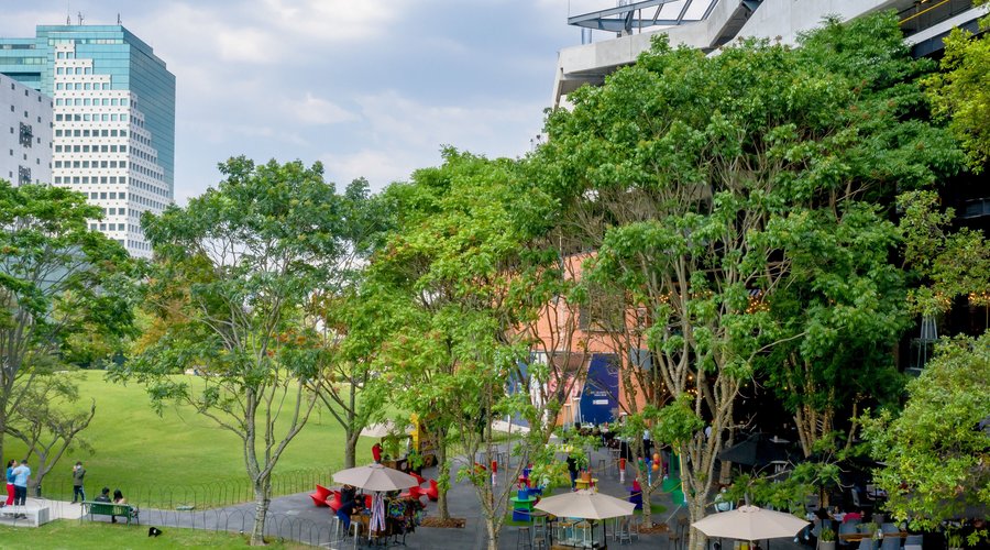 Vista de la Plaza y del Parque Miraflores