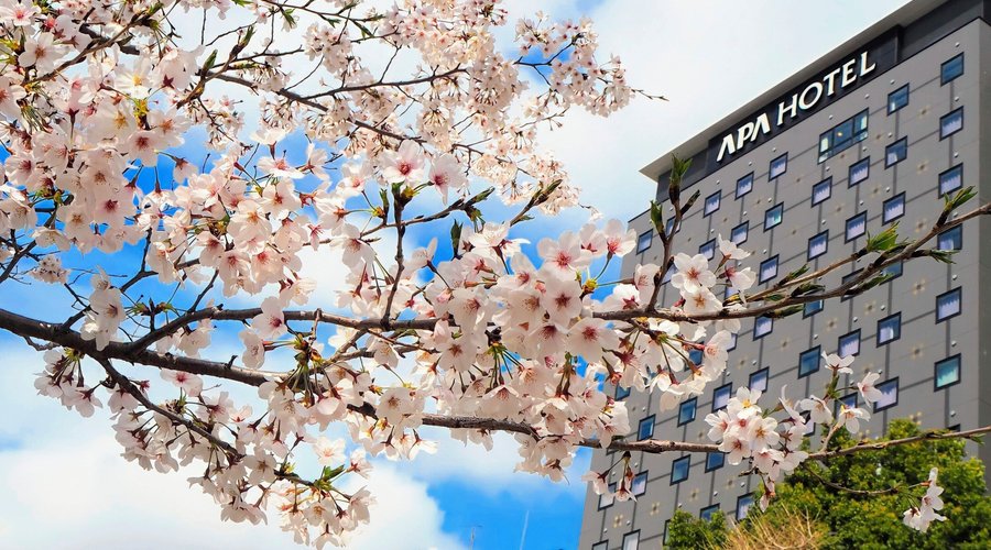 不忍池の桜とホテル外観