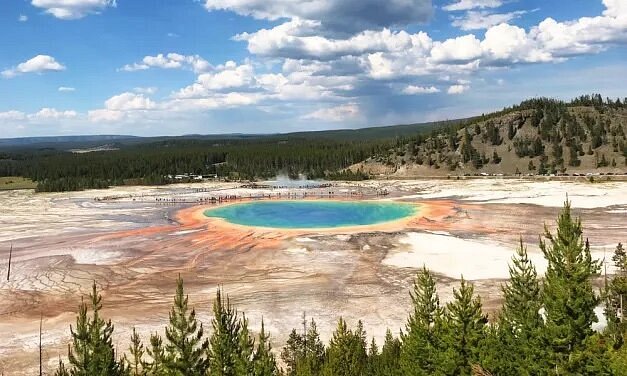 Rainbow-like Midway Geyser Basin with trees in distance