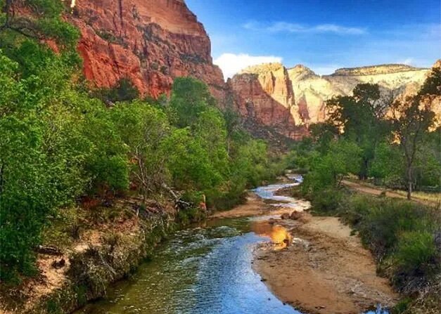Water snaking its way through Zion's mountain and greenery