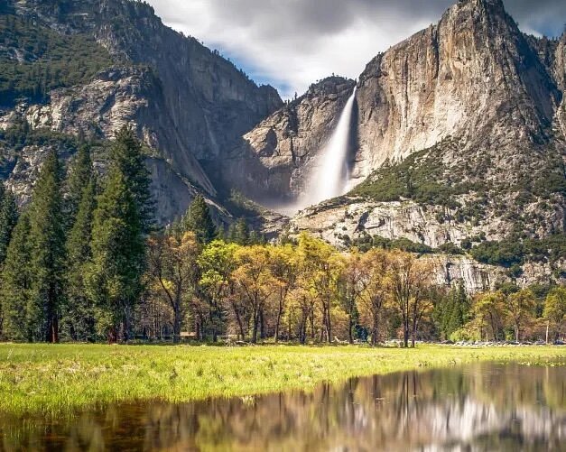 Trees in front of granite rockface, El Capitan