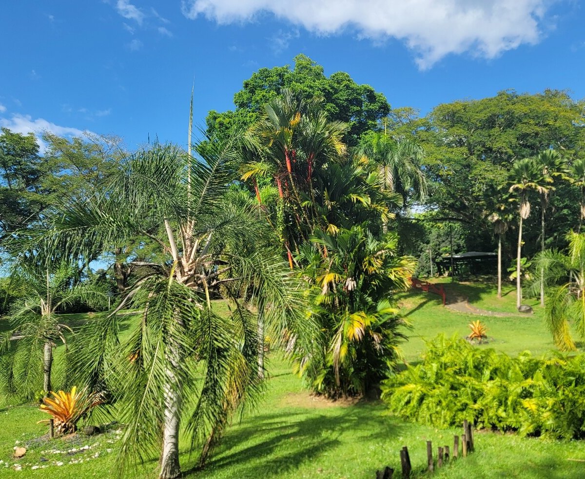 Jardin Botanico (San Juan) - All You Need to Know BEFORE You Go