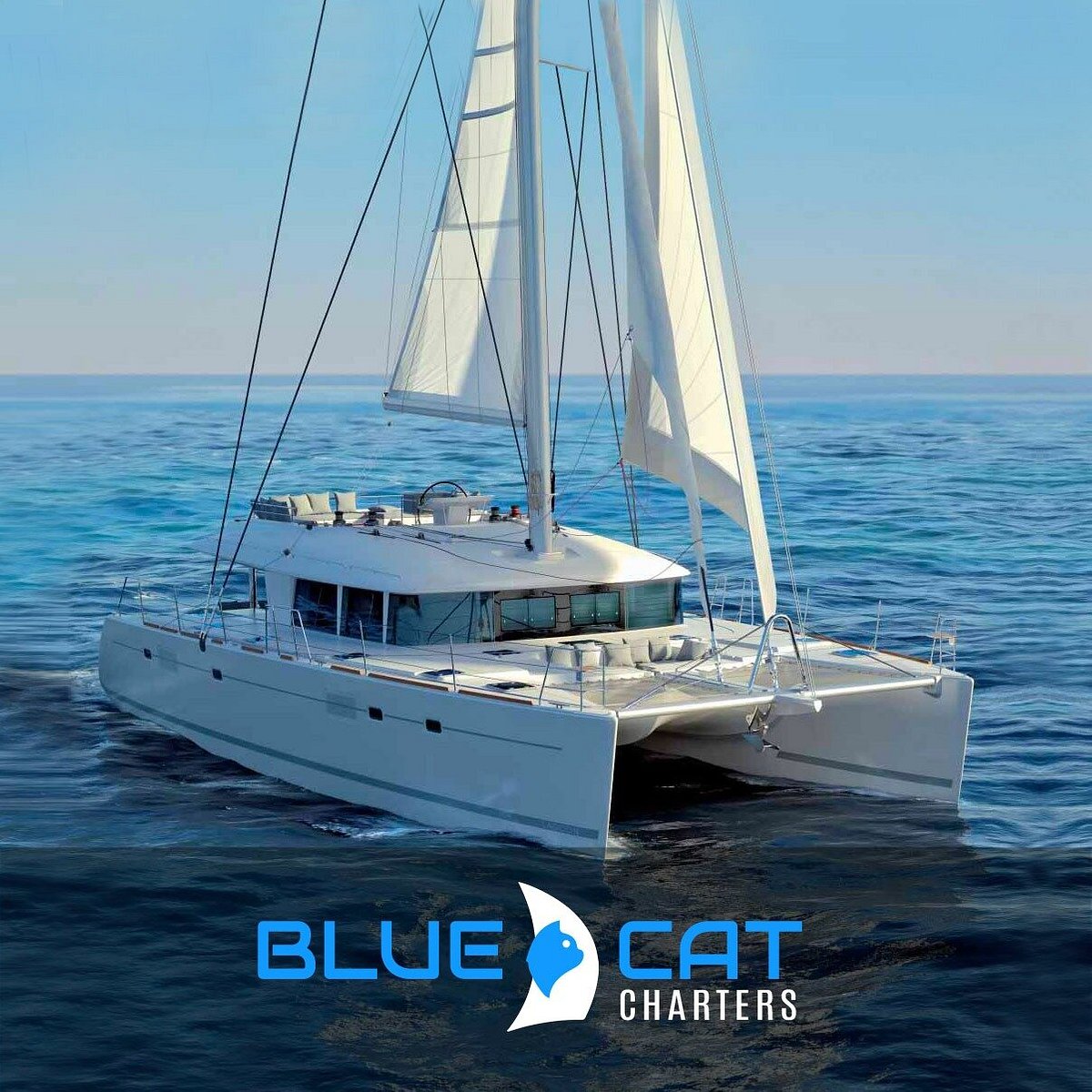 blue cat catamaran