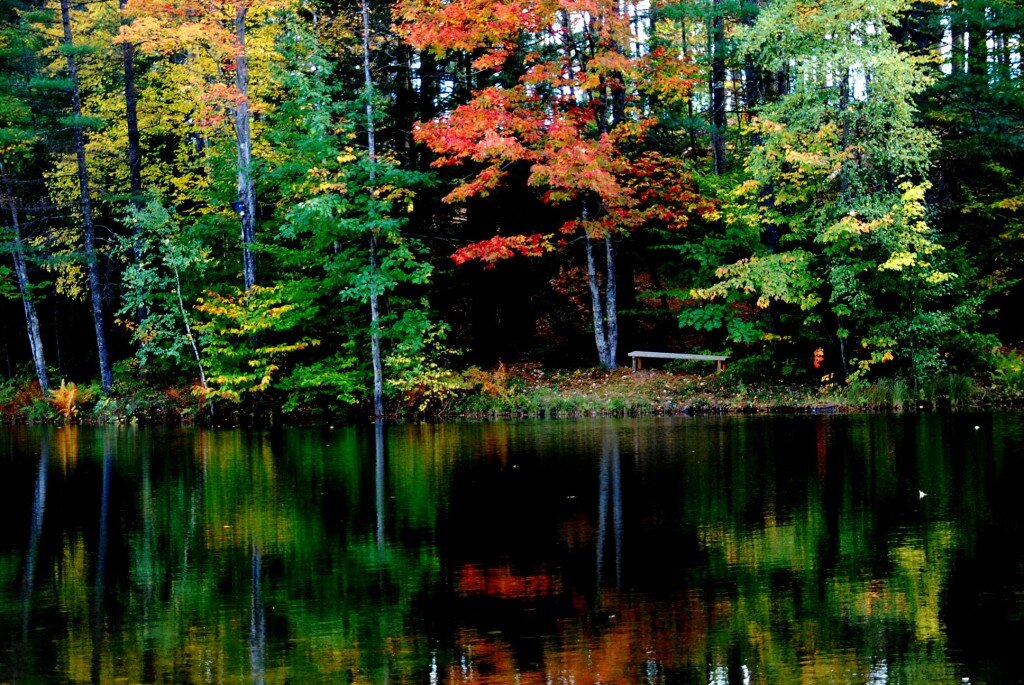 Top 10 New England Fall Foliage Destinations - Tripadvisor