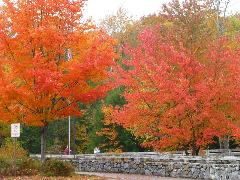13 best places to see fall foliage in 2023 - Tripadvisor