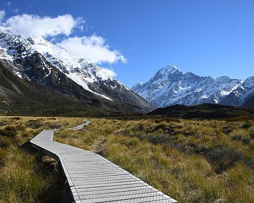 new zealand tourist bus