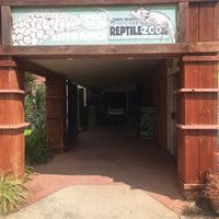 Canberra Reptile Zoo (Nicholls): All You Need to Know