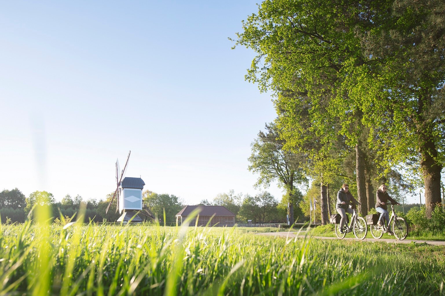 De Leyssensmolen - Lommel - De Leyssensmolen Yorumları - Tripadvisor