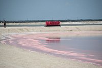 The Pink Ocean Of Los Coloradas Is A Bucket List Must! - Indie88