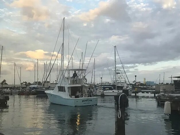 Several boats docked in harbor 