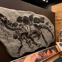 George S. Eccles Dinosaur Park (Ogden) - All You Need to Know BEFORE You Go