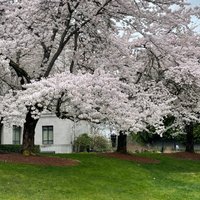 Washington State Capitol (Olympia) - All You Need to Know BEFORE You Go