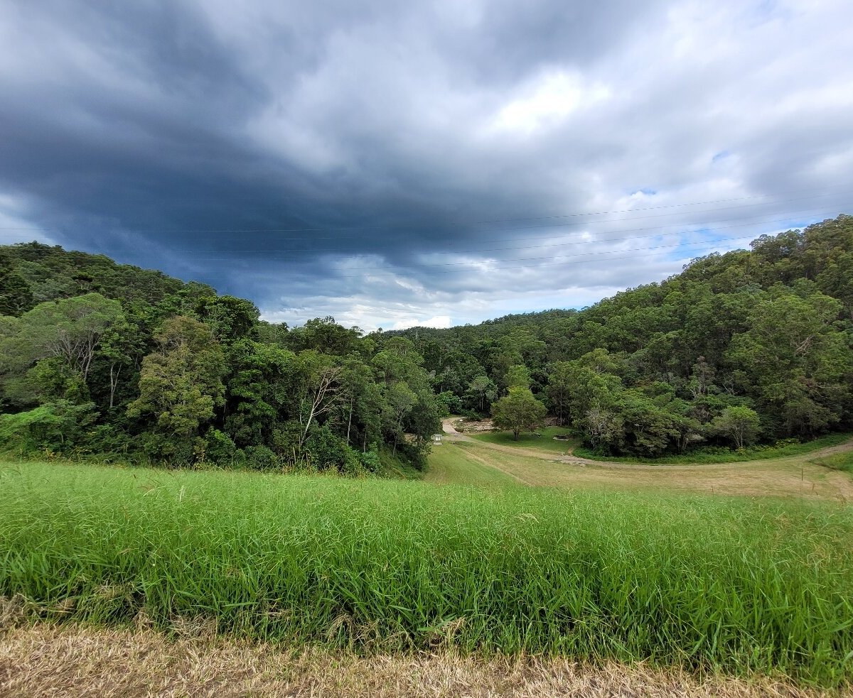 Golden creek