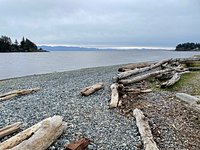 Whiffin Spit - Easy Walk With Wild Harbour Views In Sooke