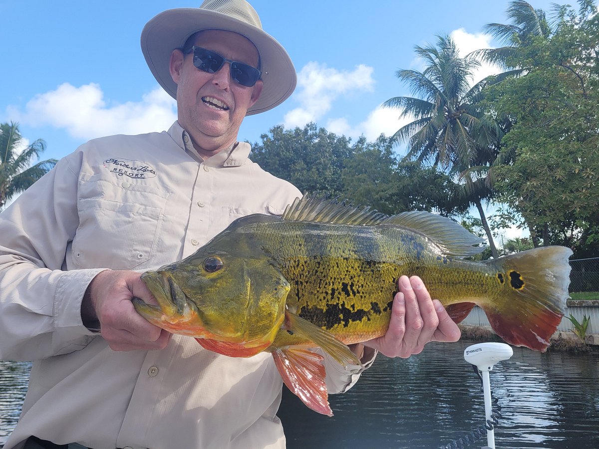 Florida Angler Breaks 28-year-old Peacock Bass Record